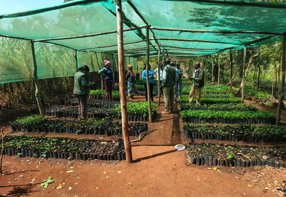 Community nursery and plant propagation